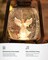 Christmas Decorations Indoor-Musical Snow Globe Christmas with 6H Timer,Angel Lighted Scene Snow Globes Lantern USB or Battery Powered,Christmas Decorations Decor for Home